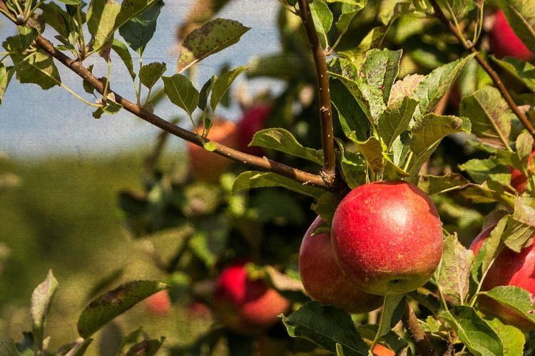 Baraboo, WI Homes for Sale & Real Estate