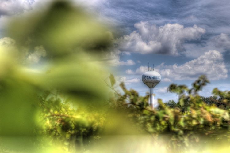 Cambridge, WI Homes for Sale and Realtors