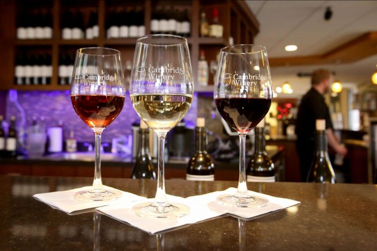 Cambridge, WI Homes for Sale and Realtors