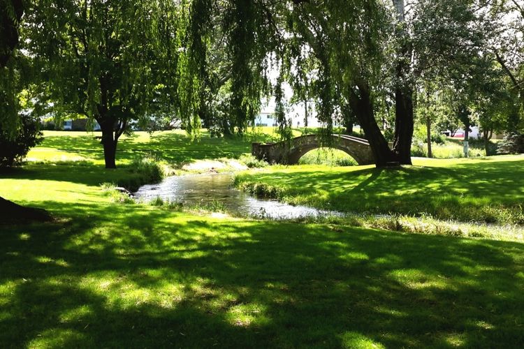 Waunakee, WI Homes for Sale & Real Estate